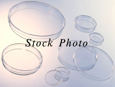 sku12084